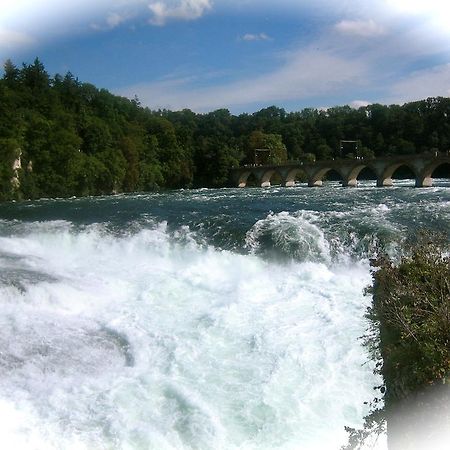 Ferienwohnung Endlich Ferien Waldshut-Tiengen Exteriér fotografie